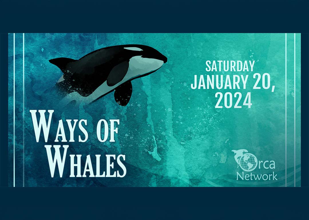 Ways-of-Whales-Workshop-2023